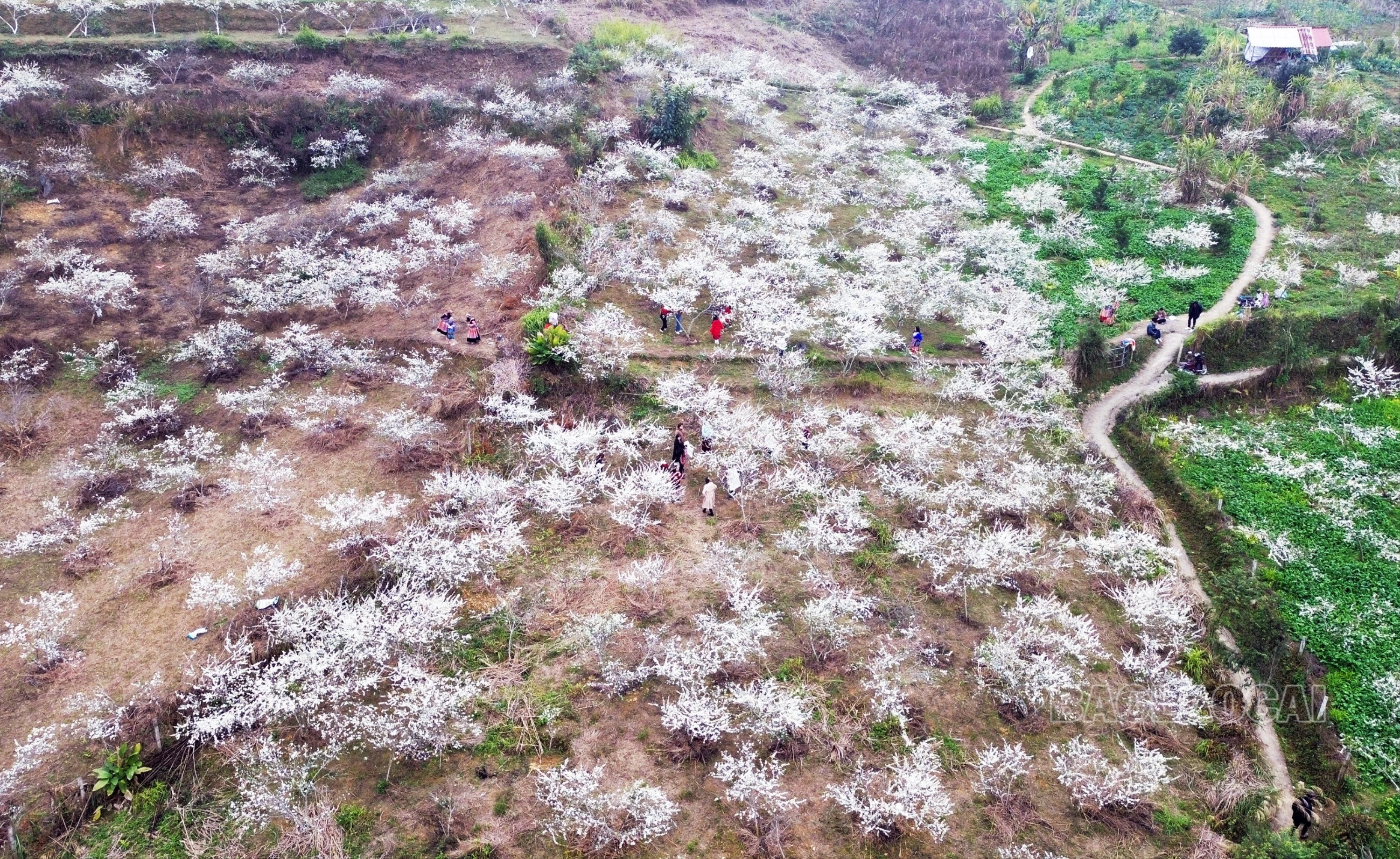 dji-0349-3433.jpg