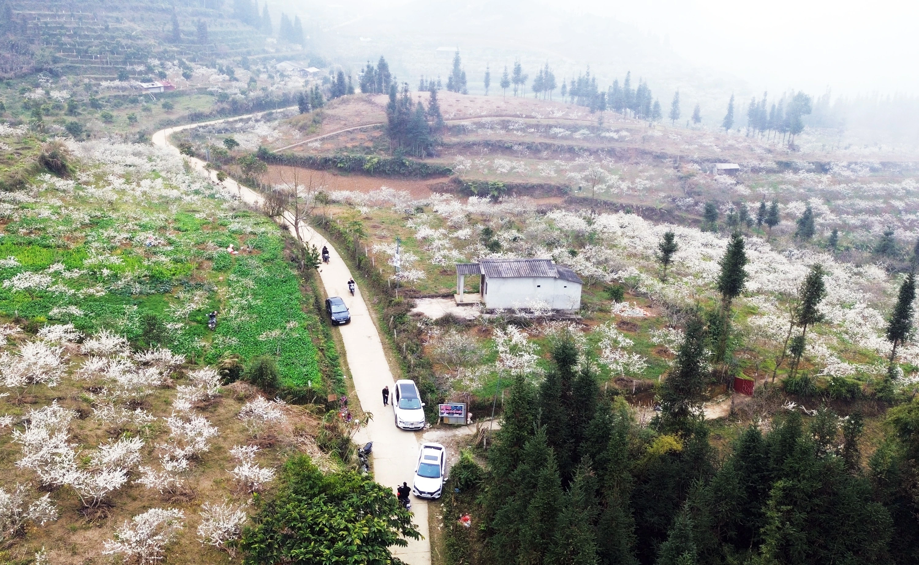 dji-0345.jpg