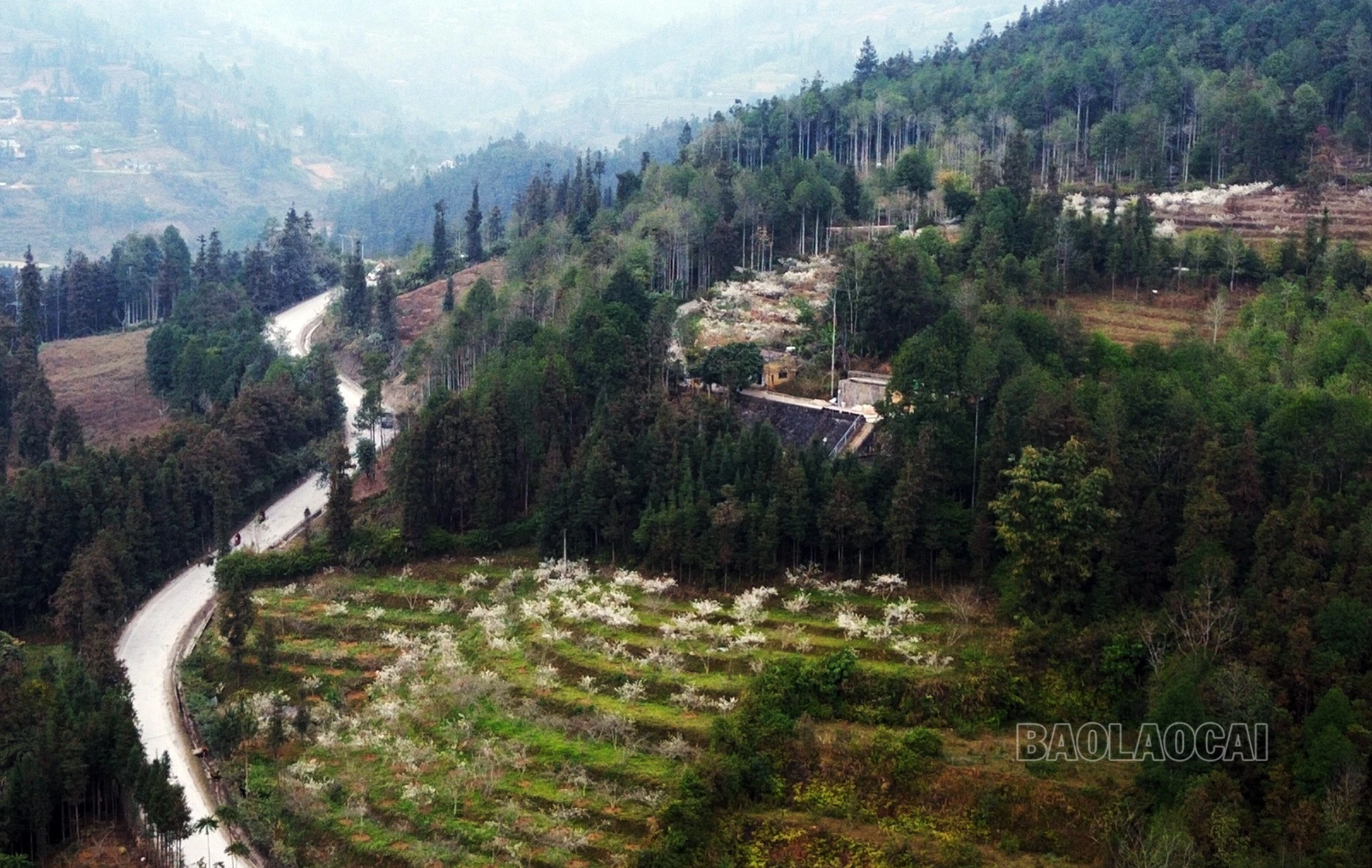 lau-thi-ngai-4356.jpg