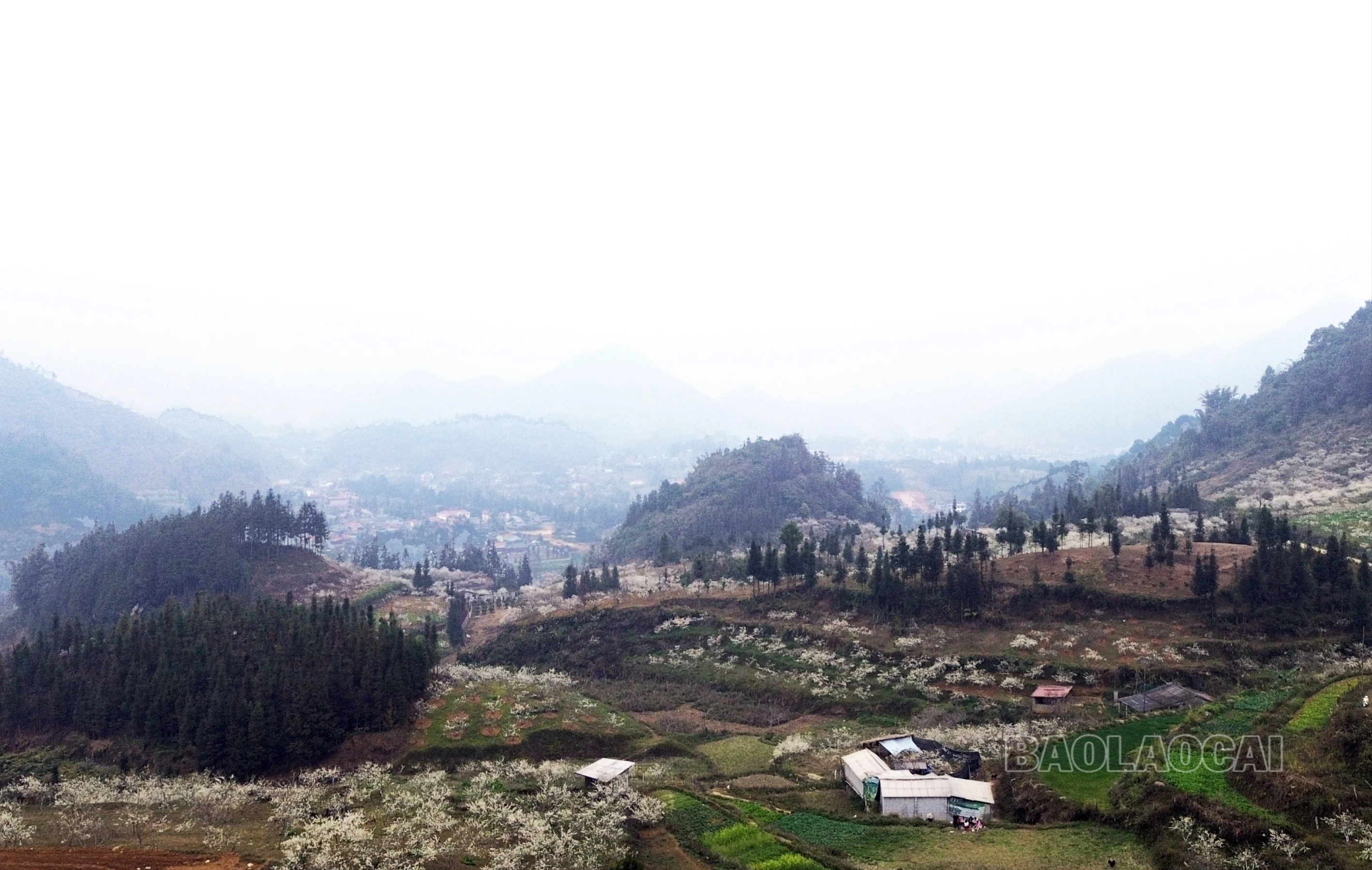 dji-0290-3778.jpg