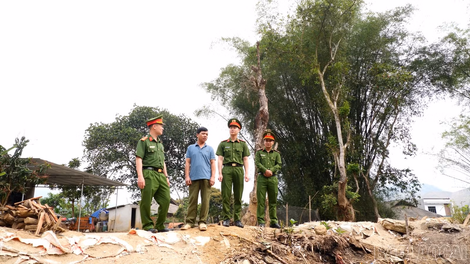 baolaocai-br_a2122.jpg