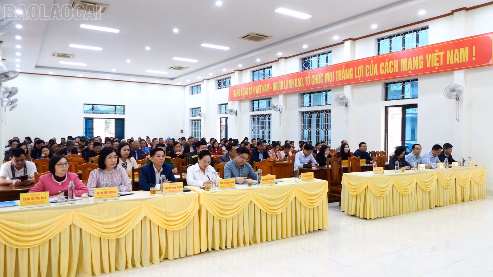 baolaocai-tl_a5.jpg
