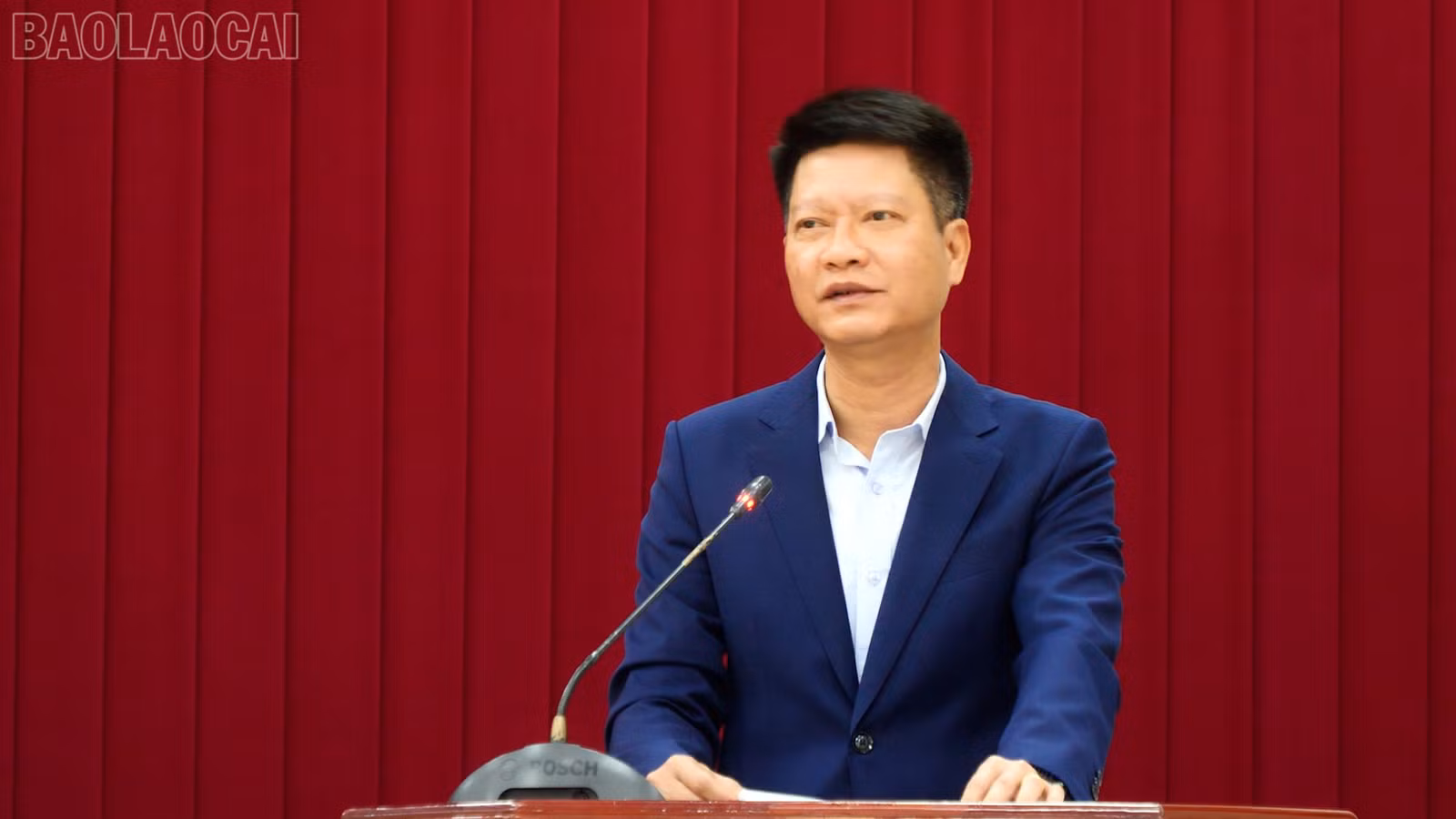baolaocai-tl_a11.jpg