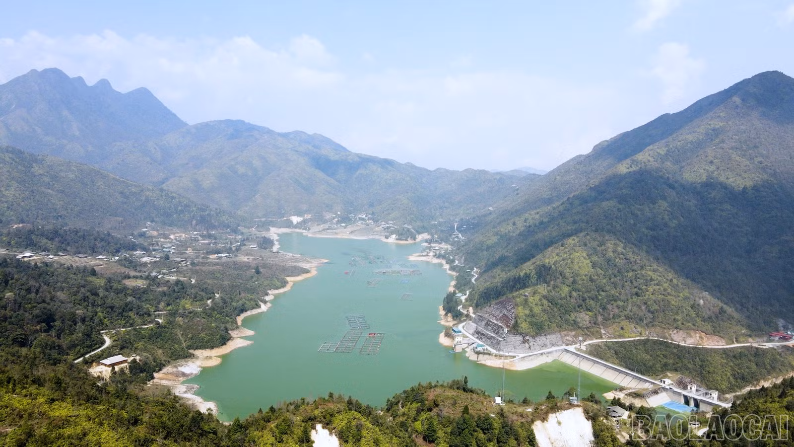 baolaocai-br_z16.jpg