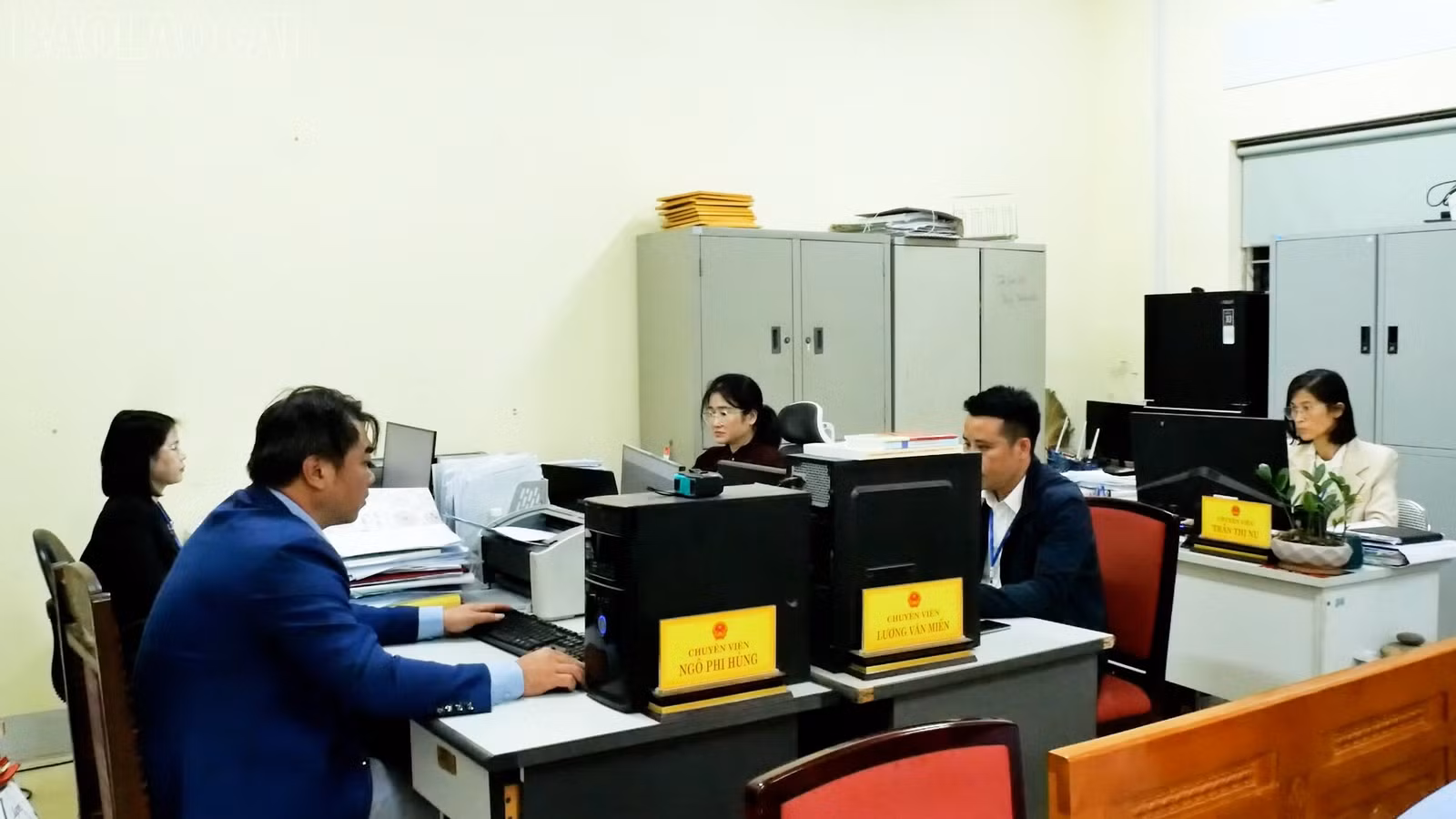 baolaocai-tl_a5.jpg