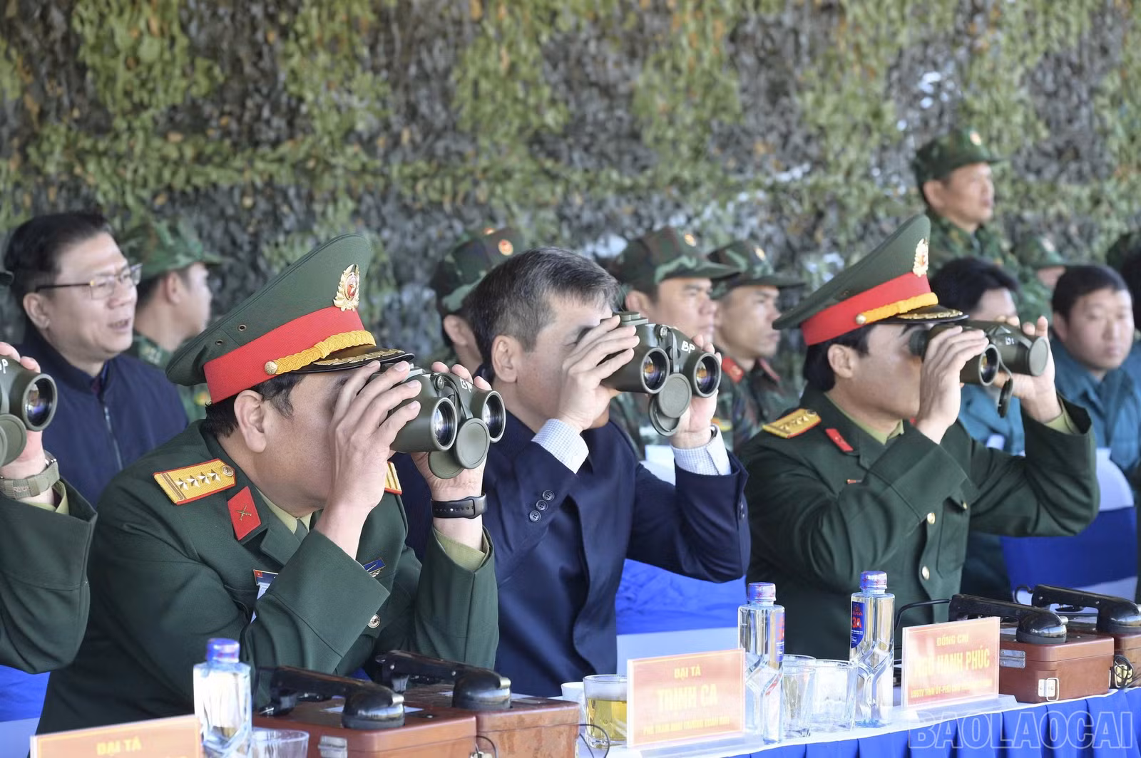 baolaocai-br_6.jpg