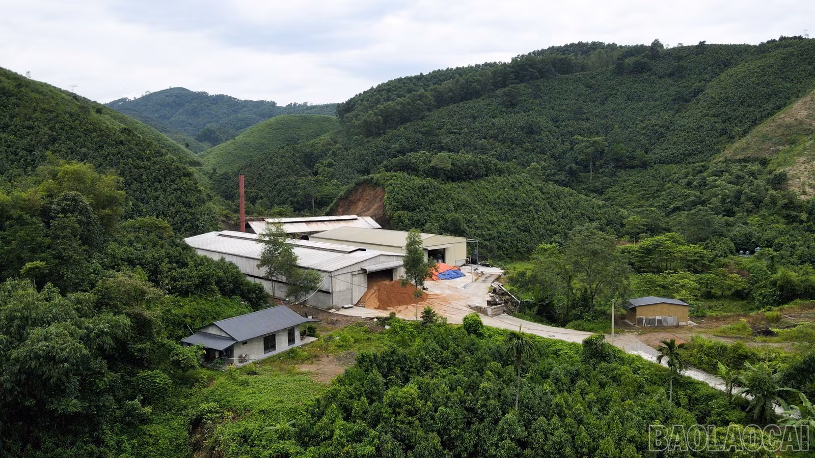 baolaocai-br_v14.jpg