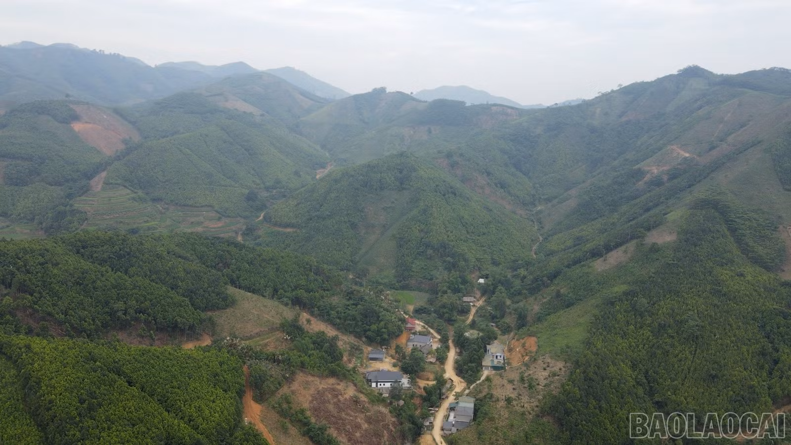 baolaocai-br_b4.jpg