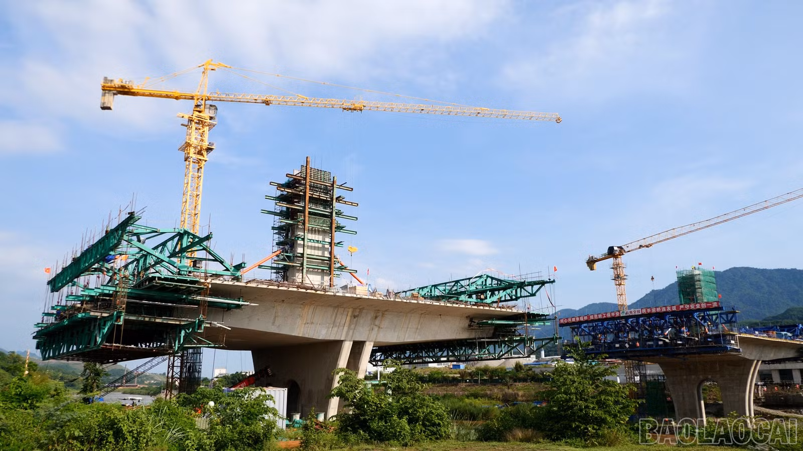 baolaocai-br_n10.jpg
