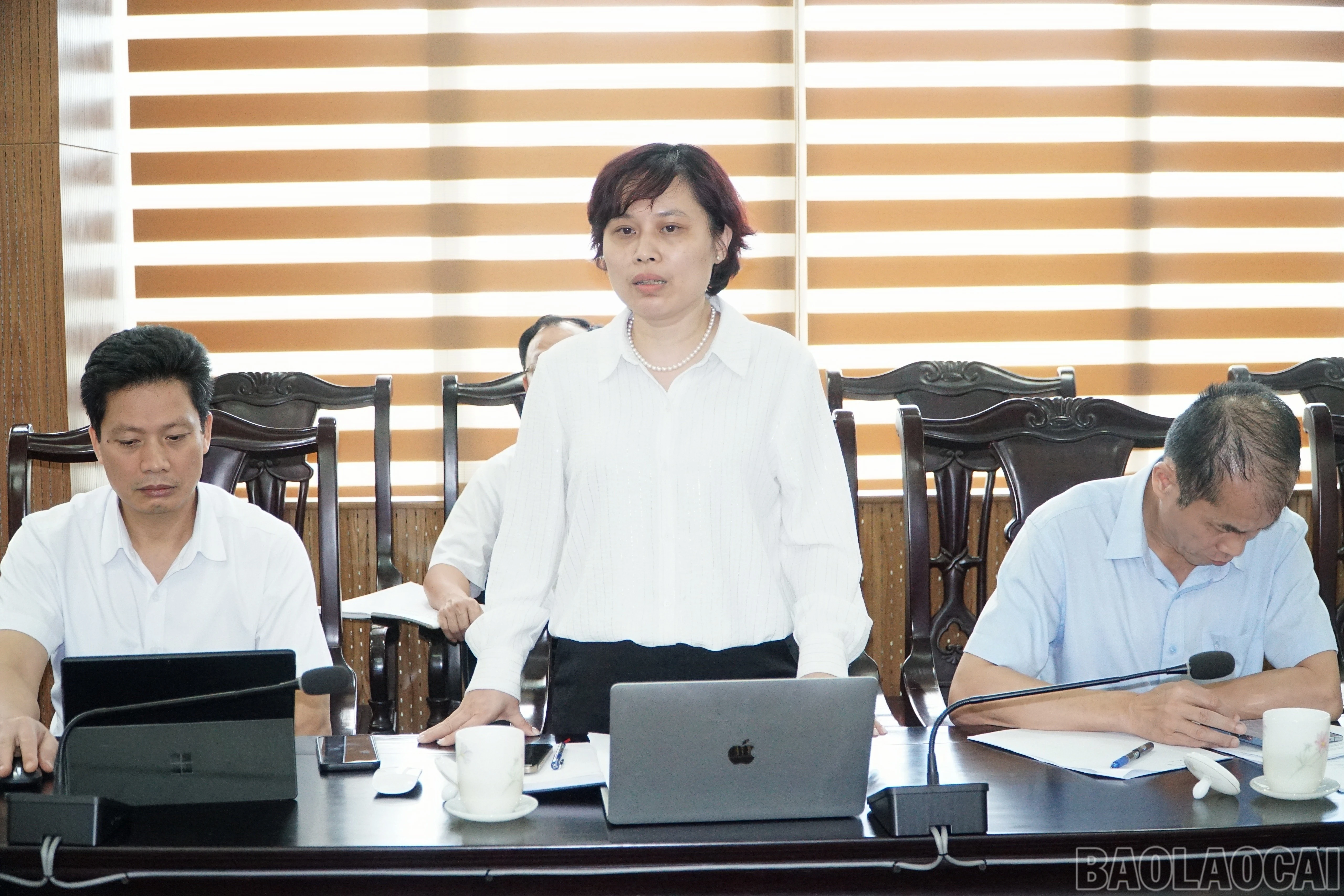 baolaocai-br_save-20250519-174232-image-repair-1747651871597.jpg