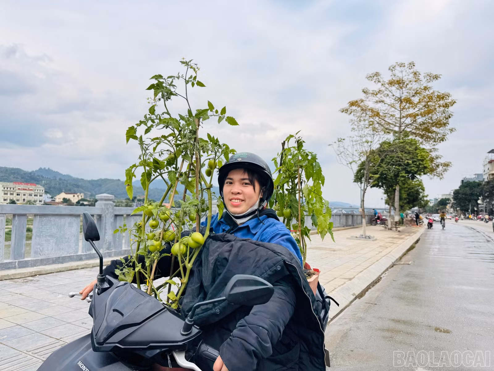baolaocai-br_z6270219145218-677a3caacfb3a61d36e80c72f8385ece.jpg