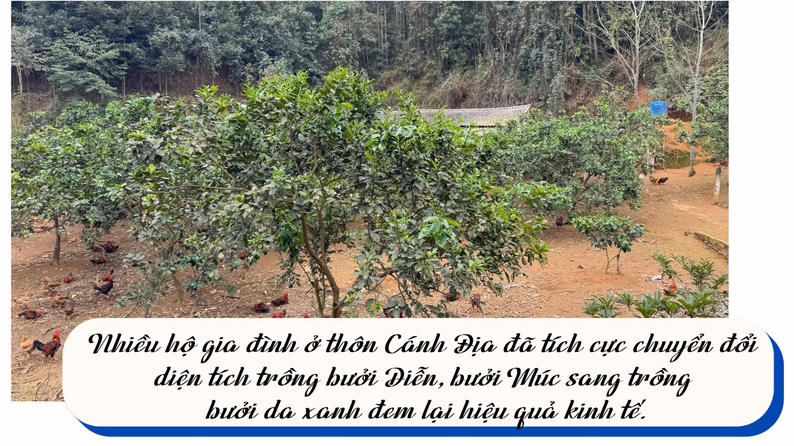 ban-sao-cua-noi-dung-doan-van-ban-cua-ban.png