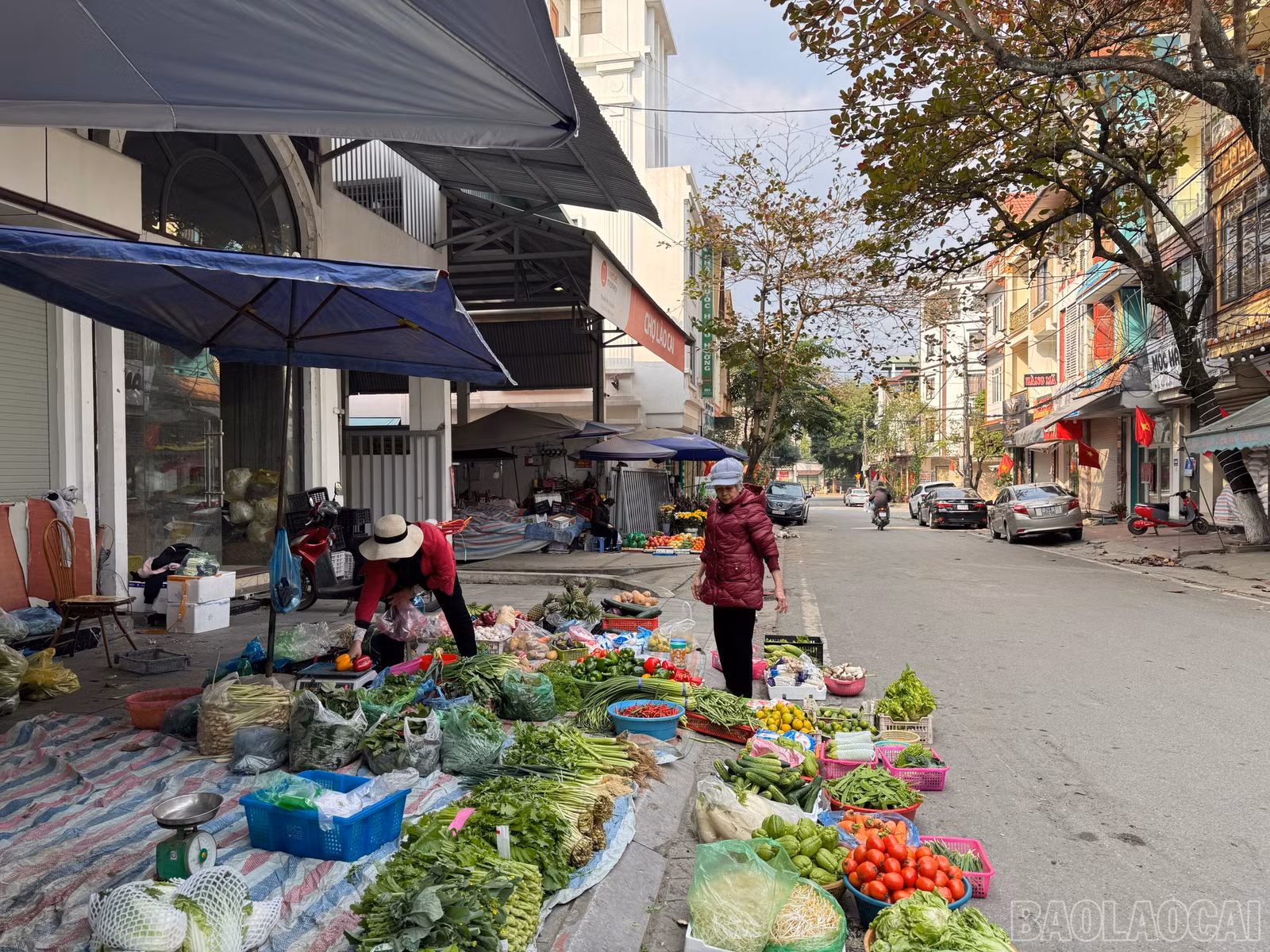 baolaocai-br_z6274982693604-29ab1c5e539252cd4c1b914a6a62965c.jpg