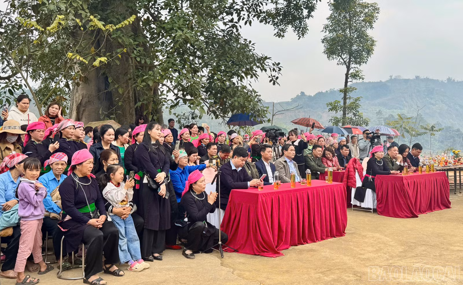 baolaocai-br_z6363628507344-5b58b0fb1c6f16c838fc19bcde0dfa36.jpg