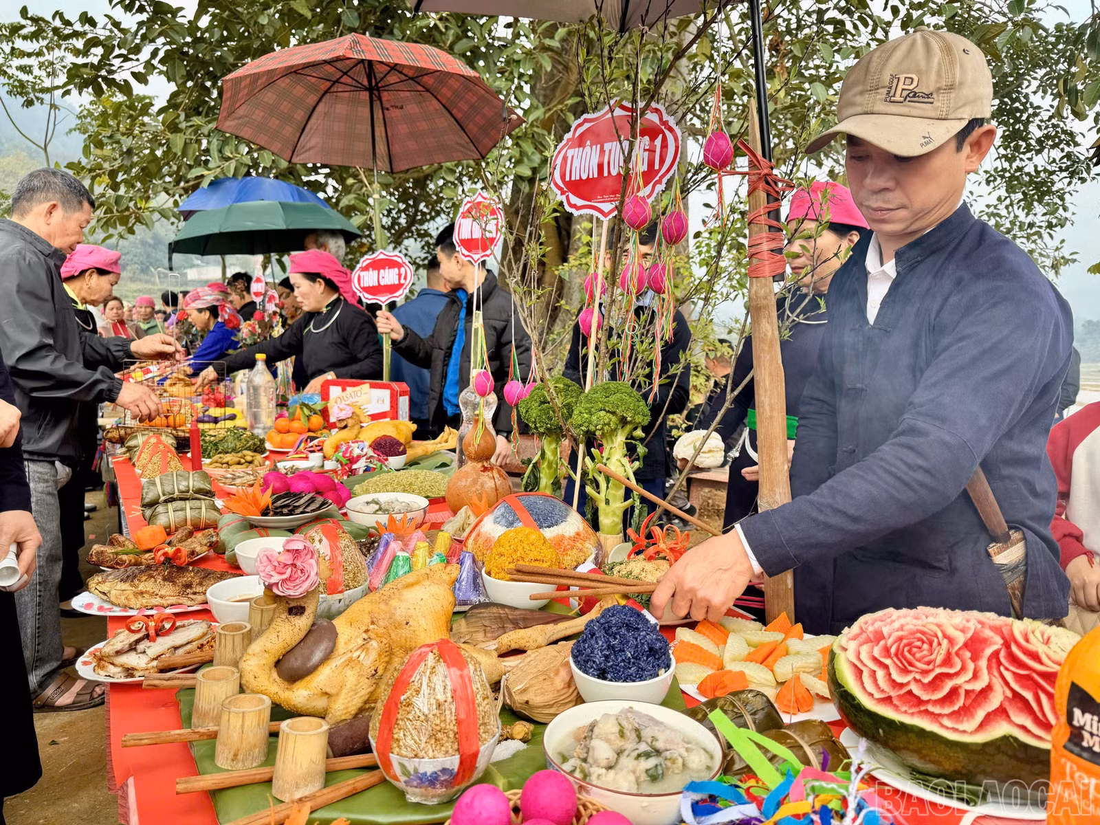 baolaocai-br_z6363628465432-c848370cd2b81fa52d8b0c4632401def.jpg