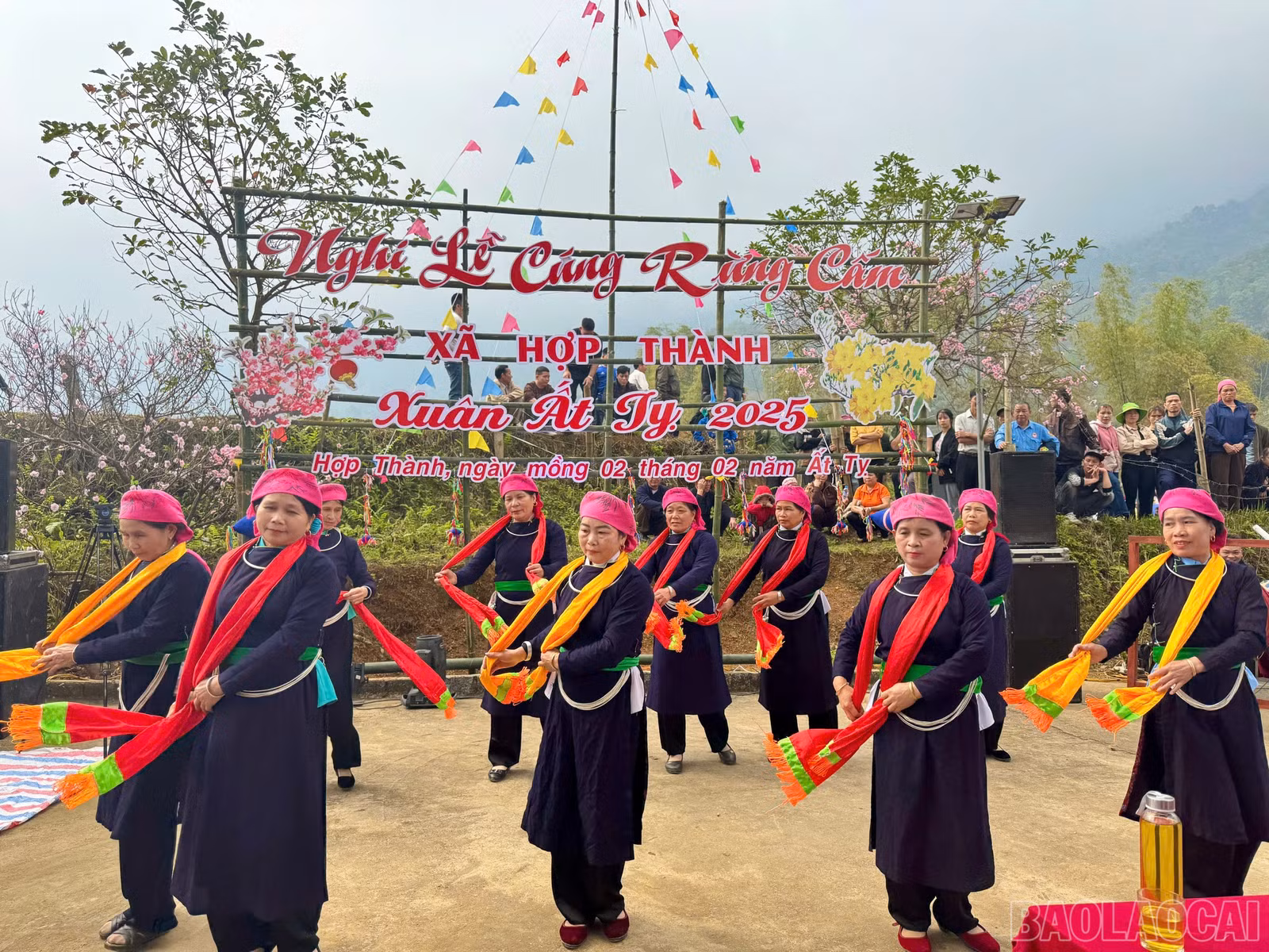 baolaocai-br_z6363628516266-44486ea924d01ce5755f573489f0d13e.jpg