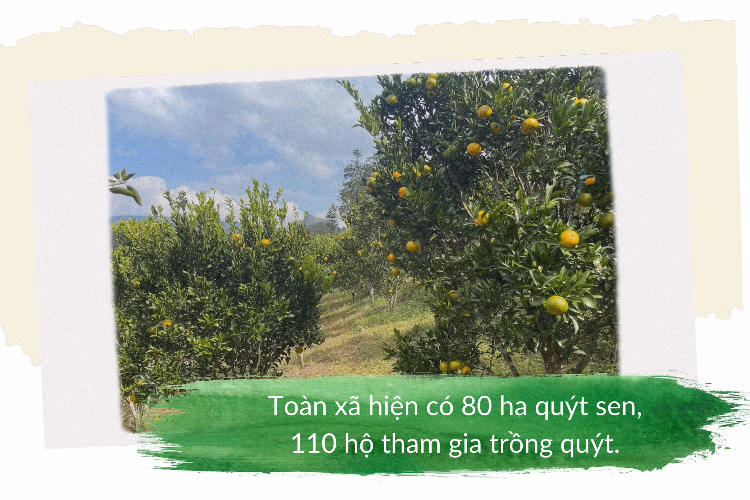 img-0121.png