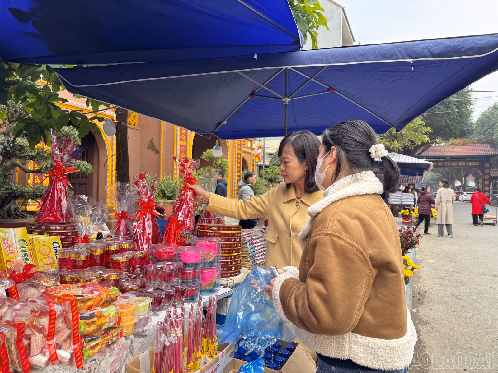 baolaocai-br_z6272162130265-2121e04dc32735852ba6eb9a04a46017.jpg