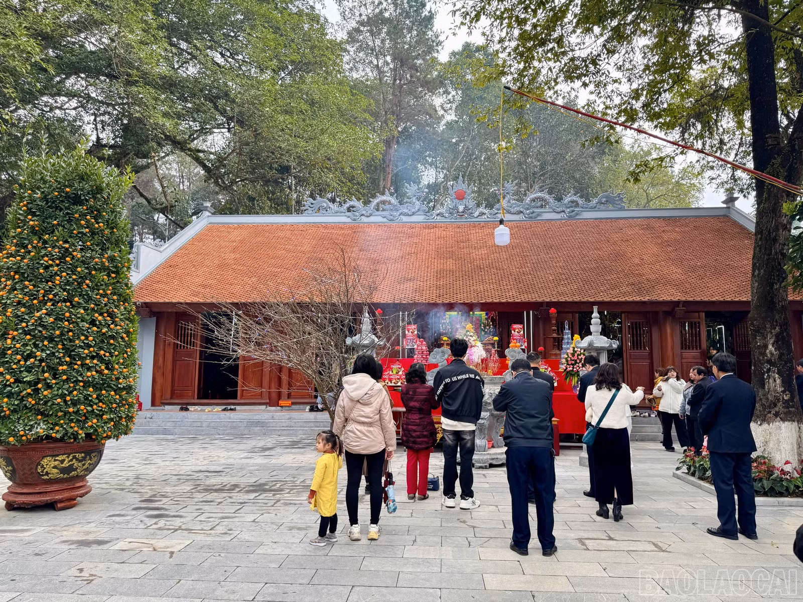 baolaocai-br_z6272162393236-327de766547e19baf575918eaffa8ccb-1.jpg