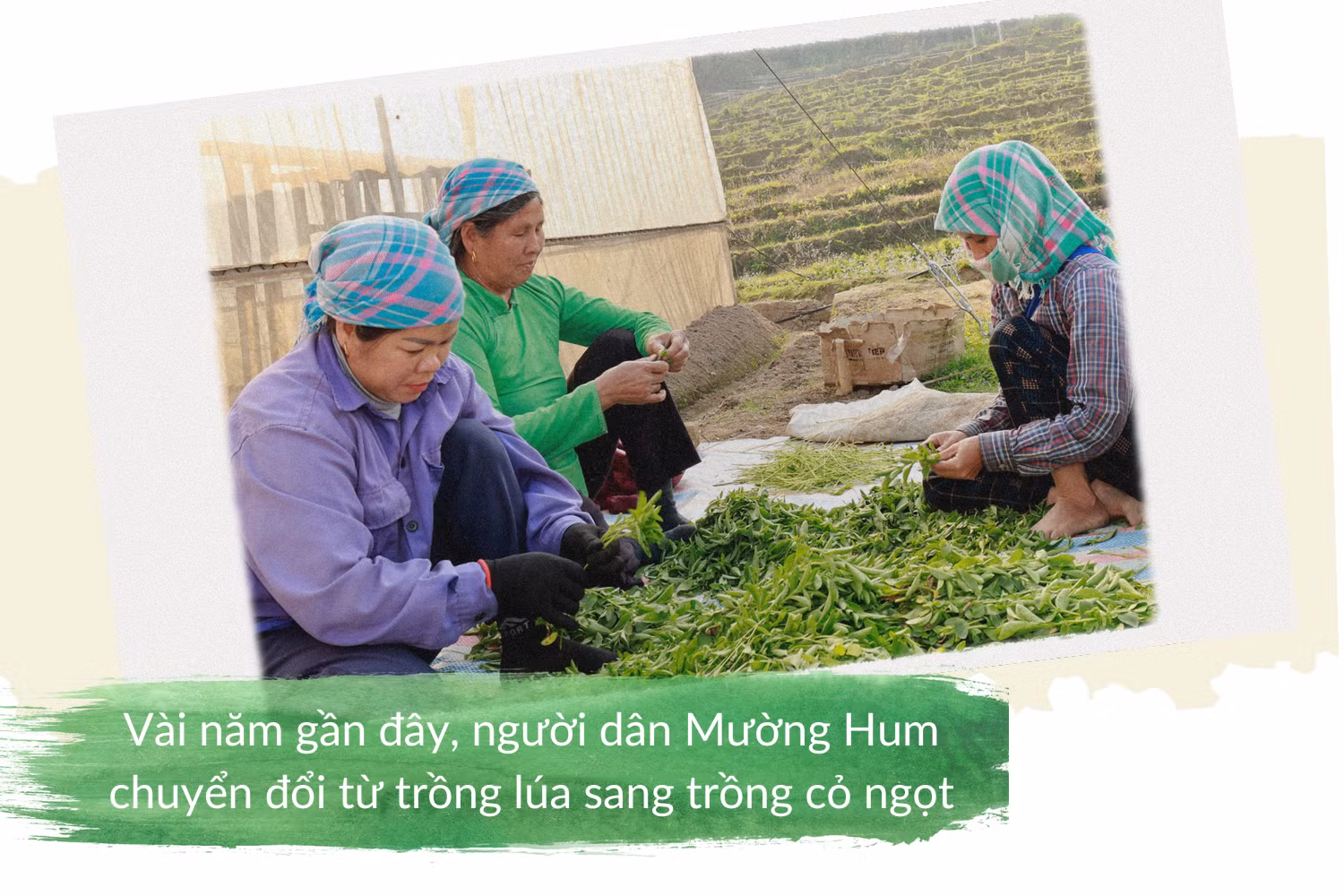 Tiêu đề.png