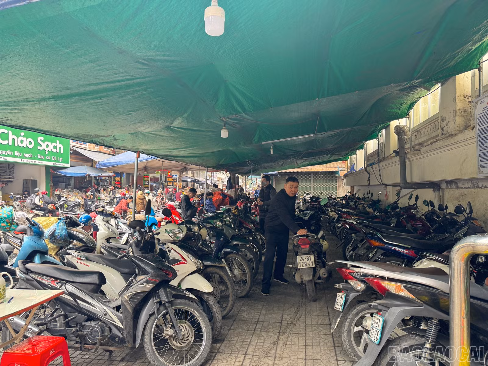 baolaocai-br_z6259207802628-1204cc26185f792273934753159cf07b.jpg
