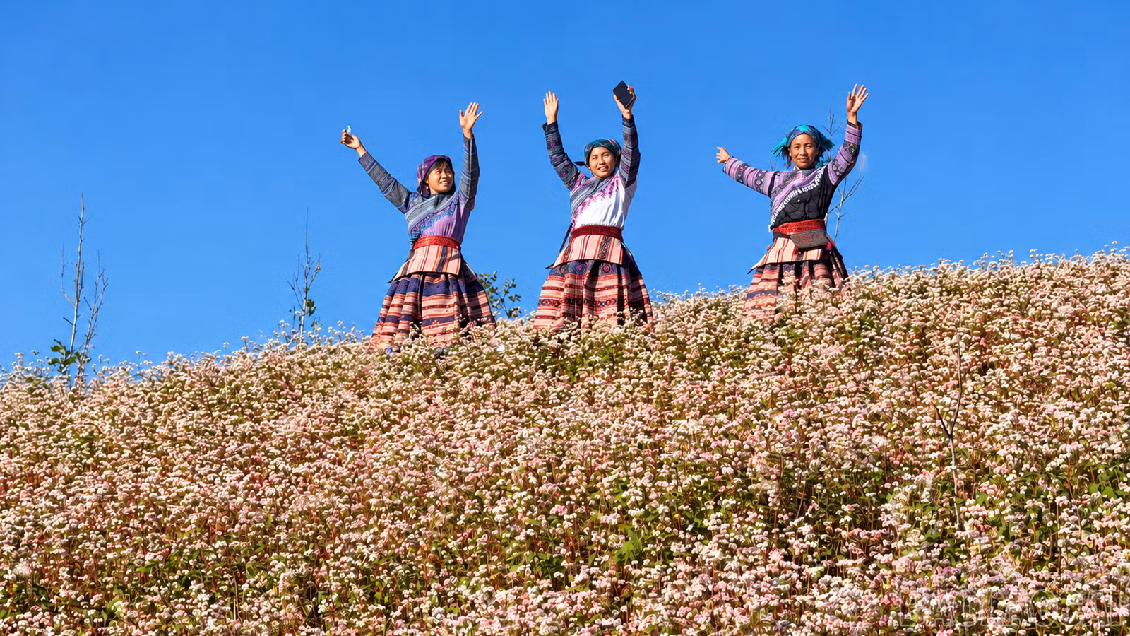 baolaocai-br_16c74daa-121f-4c5e-aa1d-163e86ca4f2f.png