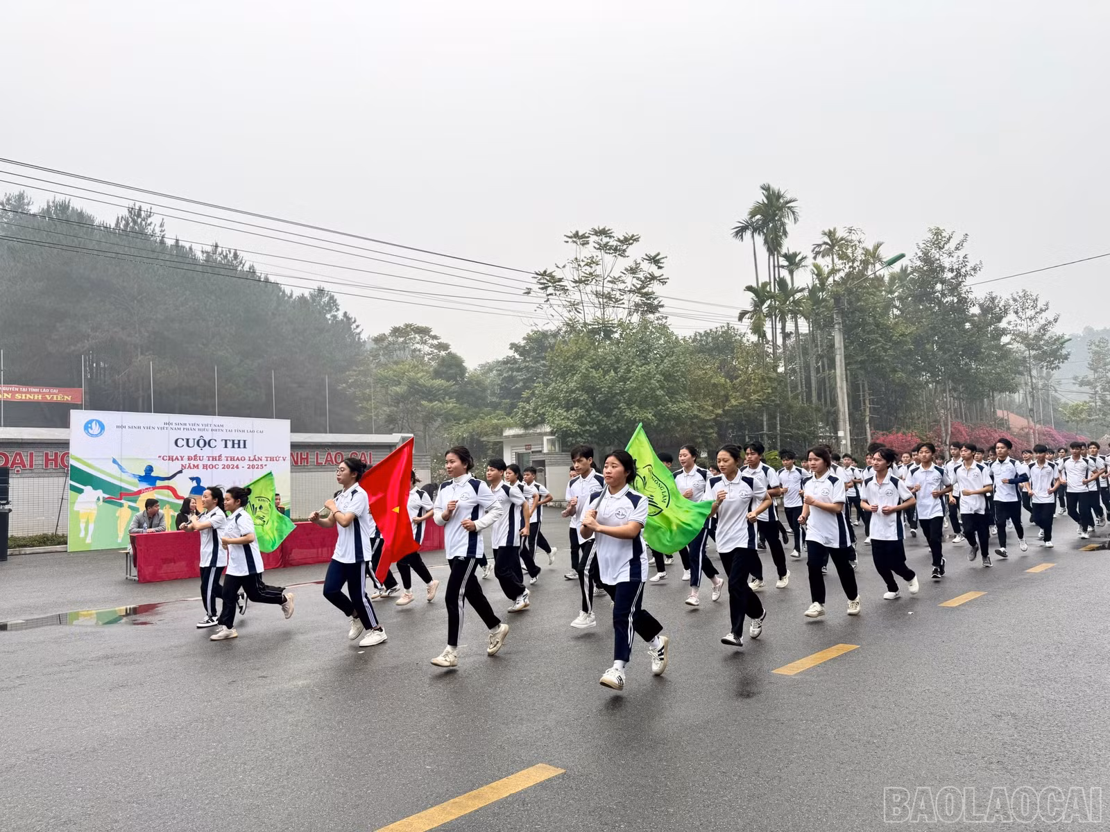 baolaocai-br_z6210974774674-224b4f568a106b0806b423ad3f4b3188.jpg