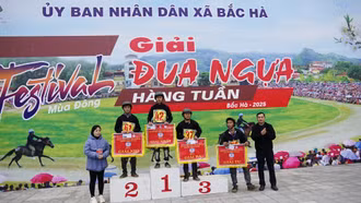 Bắc Hà: Giải đua ngựa hằng tuần thu hút du khách