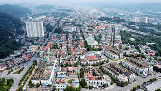 Chính phủ yêu cầu khẩn trương hoàn thành sắp xếp tổ dân phố, thôn, bản