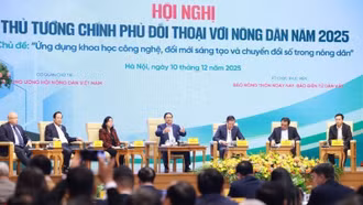 Gieo mầm khát vọng trên cánh đồng Việt