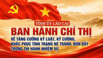 Tỉnh ủy Lào Cai ban hành Chỉ thị về tăng cường kỷ luật, kỷ cương, khắc phục tình trạng né tránh, đùn đẩy trong thi hành nhiệm vụ