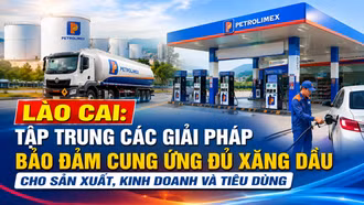 UBND tỉnh Lào Cai yêu cầu tập trung các giải pháp bảo đảm cung ứng đủ xăng dầu cho sản xuất, kinh doanh và tiêu dùng