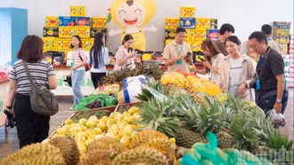Người dân Trung Quốc ưu tiên chọn mua trái cây Đông Nam Á dịp Tết Bính Ngọ