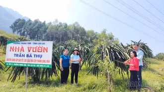 Phường Trung Tâm: Hoàn thiện không gian “Hoa trái bốn mùa - Trải nghiệm và kết nối” hưởng ứng Tuần Văn hóa, Du lịch Mường Lò