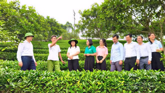 Vươn lên làm giàu, xây dựng quê hương hạnh phúc