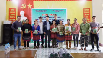 Triển khai hỗ trợ hạt giống, vật tư và tập huấn kỹ thuật trồng dưa chuột tại xã Phong Hải 