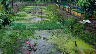 Triển vọng làm giàu ở vùng nông thôn xứ Nghệ