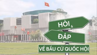 Cử tri là người di cư tự do, chưa đăng ký thường trú hoặc tạm trú tham gia bầu cử thế nào?