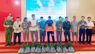 Nghĩa Đô: Trao 10.000 cây quế giống hỗ trợ hộ khó khăn phát triển kinh tế