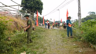 Nhiều địa phương trong tỉnh ra quân hưởng ứng phong trào "Vì một Việt Nam xanh - sạch - đẹp"