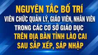 Nguyên tắc bố trí viên chức quản lý, giáo viên, nhân viên trong các cơ sở giáo dục trên địa bàn tỉnh Lào Cai sau sắp xếp, sáp nhập