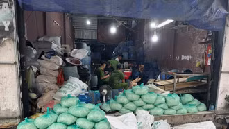 Khởi tố, bắt tạm giam 4 đối tượng dùng "nước kẹo" hóa chất sản xuất hơn 1.000 tấn giá đỗ
