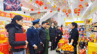 Quyết liệt triển khai đợt cao điểm chống buôn lậu và hàng giả dịp Tết Bính Ngọ