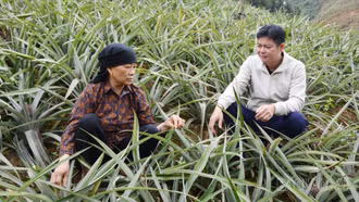Xã Bản Lầu: Chi bộ “4 tốt” góp phần xây dựng tổ chức đảng vững mạnh