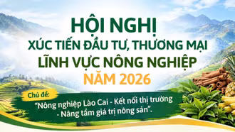Hội nghị xúc tiến đầu tư, thương mại lĩnh vực nông nghiệp năm 2026