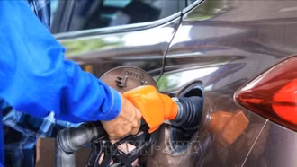 Sử dụng xăng E10 - Bước chuyển đổi năng lượng bền vững