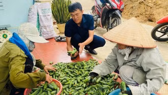Nông dân văn chấn