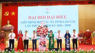 Liên minh Hợp tác xã tỉnh Lào Cai tổ chức Đại hội đại biểu lần thứ I, nhiệm kỳ 2026 - 2030