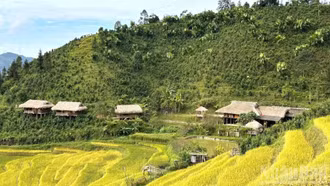 Không gian quảng bá, kết nối sản phẩm OCOP gắn với du lịch cấp vùng tại tỉnh Lào Cai năm 2026