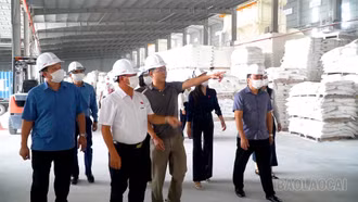 Đoàn đại biểu Quốc hội tỉnh giám sát việc thực hiện chính sách, pháp luật về điện lực tại Công ty Cổ phần Polyfill Yên Bái